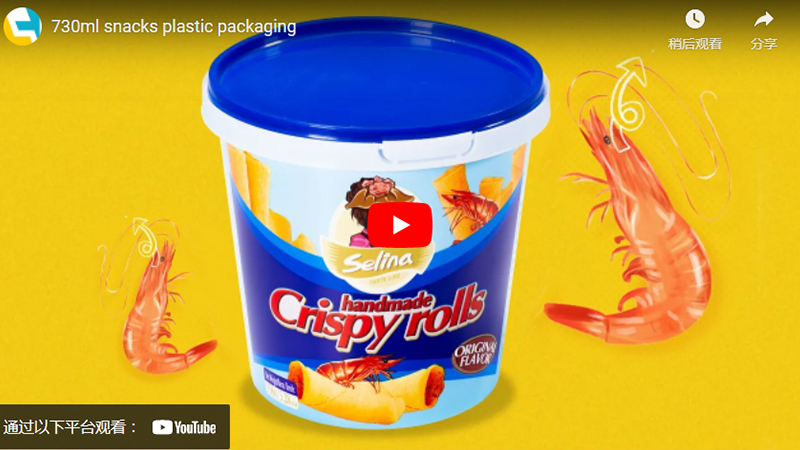 24 once di Plastica Rotondo IML Ice Cream Container